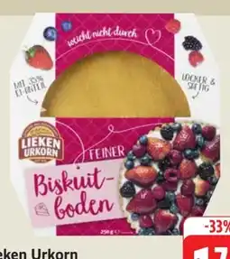 Edeka Lieken Urkorn Feiner Biskuitboden Angebot
