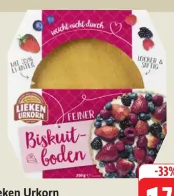 Edeka Lieken Urkorn Feiner Biskuitboden Angebot