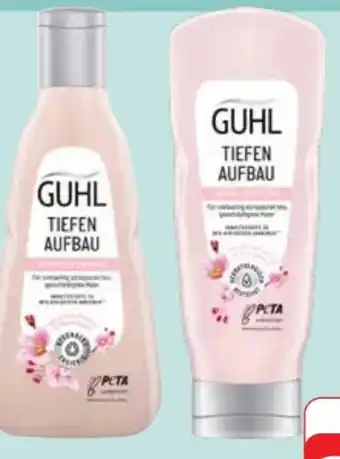 Edeka Guhl Shampoo Angebot