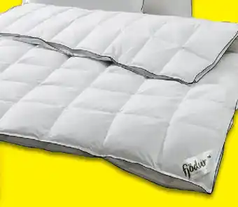 Lidl fjödur 4-Jahres- zeiten- Daunendecke Angebot