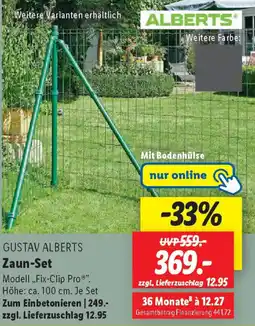 Lidl GUSTAV ALBERTS Zaun-Set Angebot