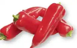 Scheck-in-Center Rote Spitzpaprika Angebot