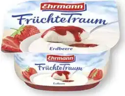 Scheck-in-Center Ehrmann Früchte Traum Angebot