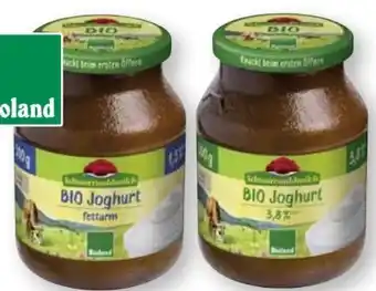 Scheck-in-Center Schwarzwaldmilch Bio Naturjoghurt Angebot
