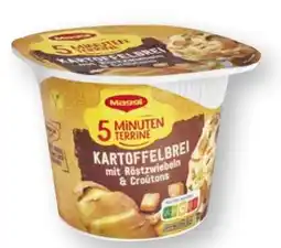 Scheck-in-Center Maggi 5 Minuten Terrine Angebot