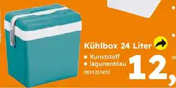 Globus Baumarkt Kühlbox 24 Liter Angebot