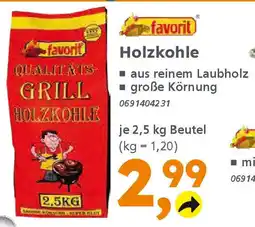 Globus Baumarkt favorit Holzkohle Angebot