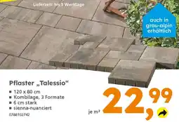 Globus Baumarkt Pflaster,,Talessio" Angebot