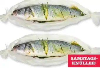 Scheck-in-Center Marinierte Wolfsbarsch Angebot