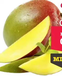 Scheck-in-Center Mango Angebot
