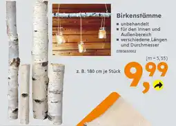 Globus Baumarkt Birkenstämme Angebot