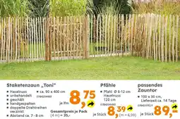 Globus Baumarkt passendes Zauntor 100*90 cm Angebot