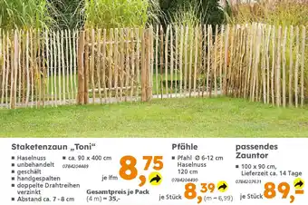 Globus Baumarkt passendes Zauntor 100*90 cm Angebot
