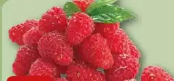 REWE Center Rewe Beste Wahl Frische-Heidelbeeren Angebot