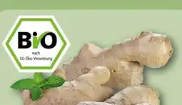 REWE Center Bio Ingwer Angebot