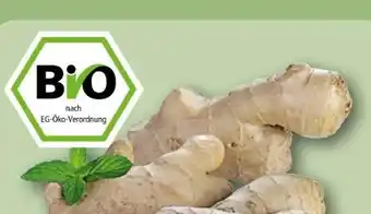 REWE Center Bio Ingwer Angebot