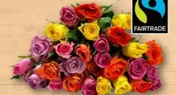 REWE Center Rosen Trio Angebot