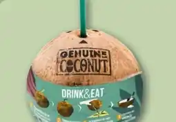 REWE Center Genuine Coconut Drink & Eat Kokosnuss Angebot