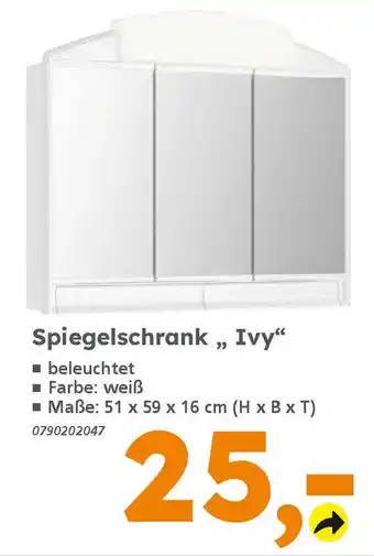 Globus Baumarkt Spiegelschrank, Ivy" Angebot