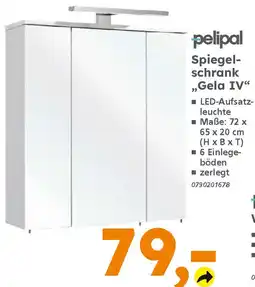 Globus Baumarkt pelipal Spiegel- schrank „Gela IV“ Angebot