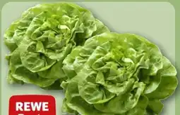 REWE Center Rewe Beste Wahl Kopfsalatherzen Angebot