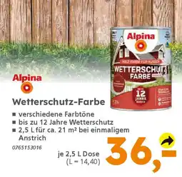 Globus Baumarkt Alpina Wetterschutz-Farbe Angebot