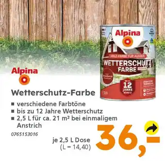 Globus Baumarkt Alpina Wetterschutz-Farbe Angebot