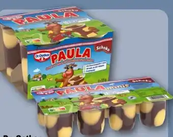REWE Center Dr. Oetker Paula Pudding-Minis Angebot