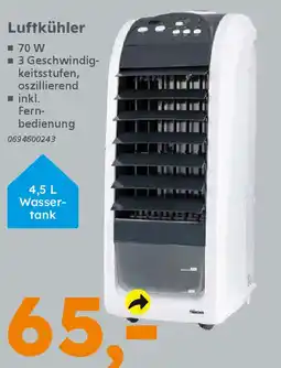 Globus Baumarkt Luftkühler Angebot