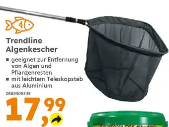 Globus Baumarkt Trendline Algenkescher Angebot