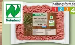 REWE Center Rewe Bio Bio-Hackfleisch gemischt Angebot