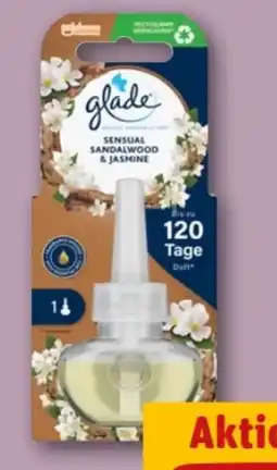 REWE Center Glade (by Brise) Electric Scented Oil Nachfüller Angebot