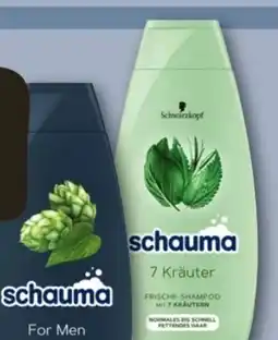 REWE Center Schwarzkopf Schauma Shampoo Angebot