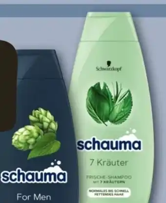 REWE Center Schwarzkopf Schauma Shampoo Angebot