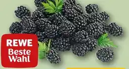 REWE Rewe Beste Wahl Brombeeren Angebot
