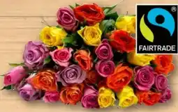 REWE Rosen Trio Angebot