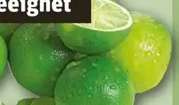 REWE Rewe Bio Limetten Angebot
