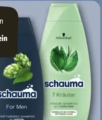 REWE Schwarzkopf Schauma Shampoo Angebot