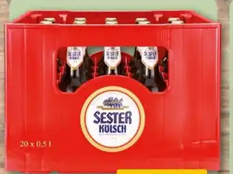 REWE Sester Kölsch Angebot