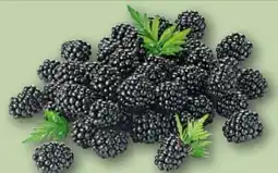 REWE Brombeeren Angebot