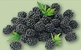 REWE Brombeeren Angebot