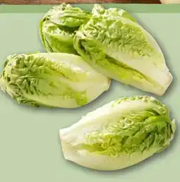 REWE Rewe Feine Welt Römersalat Extra fein Angebot