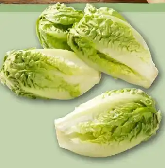 REWE Rewe Feine Welt Römersalat Extra fein Angebot