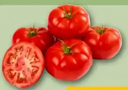 REWE Fleischtomaten Angebot