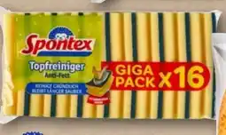 REWE Spontex Topfreiniger Anti-Fett Angebot