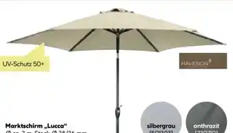 BayWa Haveson Marktschirm Lucca Angebot