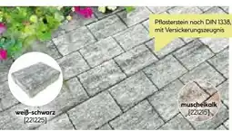 BayWa Lusit Pflasterstein Gentle Angebot