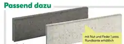 BayWa Lusit Rasenborde Angebot