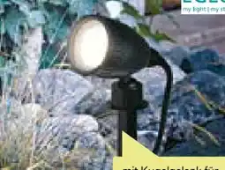 BayWa Eglo LED-Gartenspot Nema Angebot
