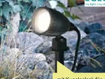 BayWa Eglo LED-Gartenspot Nema Angebot